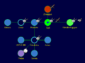 Thumbnail for version as of 02:28, 16 April 2014